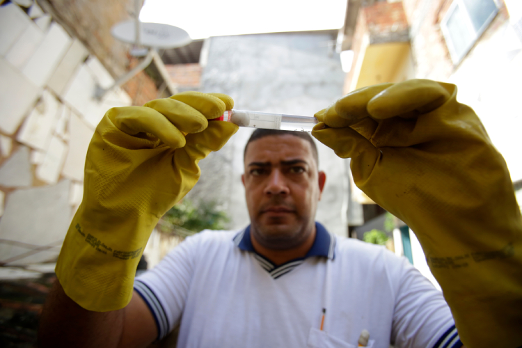Infecções transmitidas pelo mosquito Aedes aegypti têm sintomas semelhantes, mas evoluções distintas. Entenda como identificar cada uma e os riscos associados e saiba como estão os números no município.