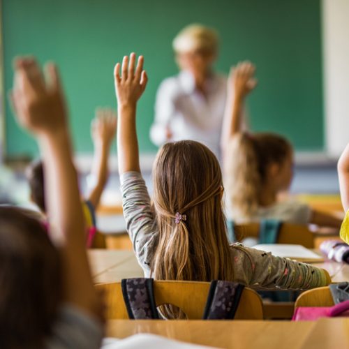 Dia Mundial da Educação destaca avanços e desafios no Brasil, com ênfase na privatização em SP