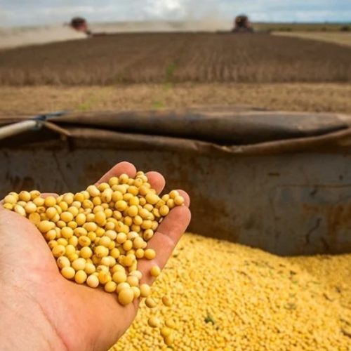 Trégua entre EUA e China altera cenário das exportações de soja brasileira