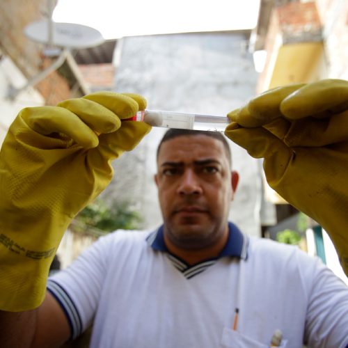 Dengue, chikungunya e Zika: saiba diferenciar os sintomas e possíveis complicações